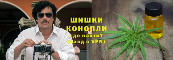 мдпв Ладушкин