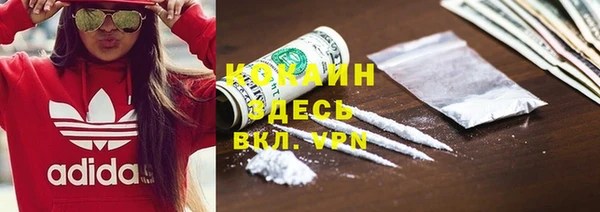 ГАЛЛЮЦИНОГЕННЫЕ ГРИБЫ Лагань