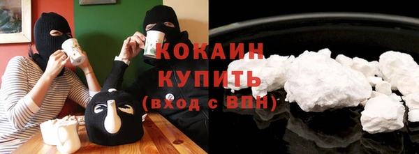 ГАЛЛЮЦИНОГЕННЫЕ ГРИБЫ Лагань