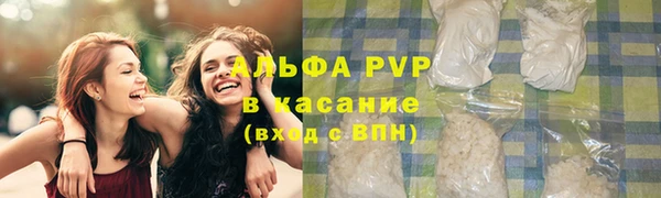 мдпв Ладушкин