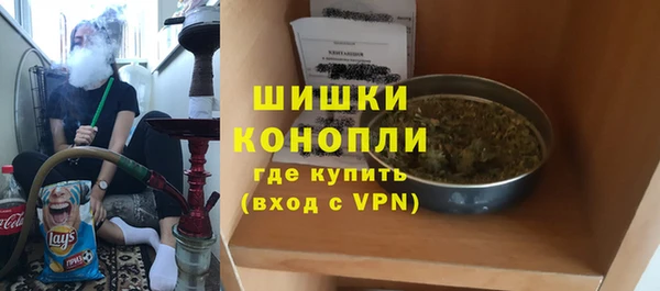 дурь Бронницы