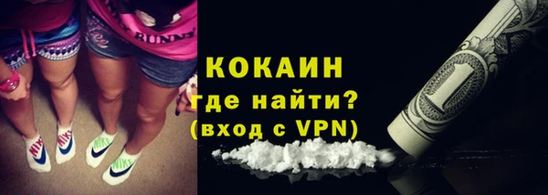 ГАЛЛЮЦИНОГЕННЫЕ ГРИБЫ Лагань