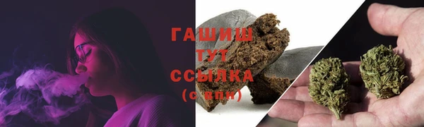 ГАЛЛЮЦИНОГЕННЫЕ ГРИБЫ Лагань