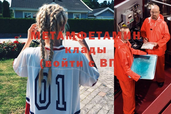 ГАЛЛЮЦИНОГЕННЫЕ ГРИБЫ Лагань