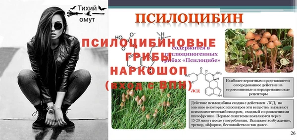 ГАЛЛЮЦИНОГЕННЫЕ ГРИБЫ Лагань