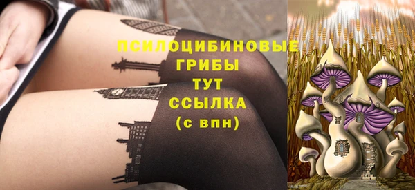 ГАЛЛЮЦИНОГЕННЫЕ ГРИБЫ Лагань