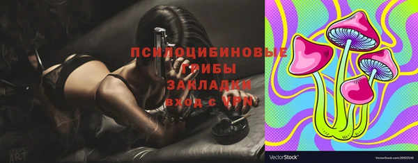 мдпв Ладушкин
