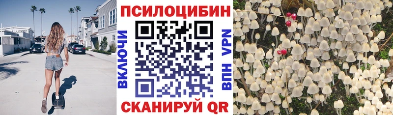 продажа наркотиков  Сосновка  Псилоцибиновые грибы мицелий 