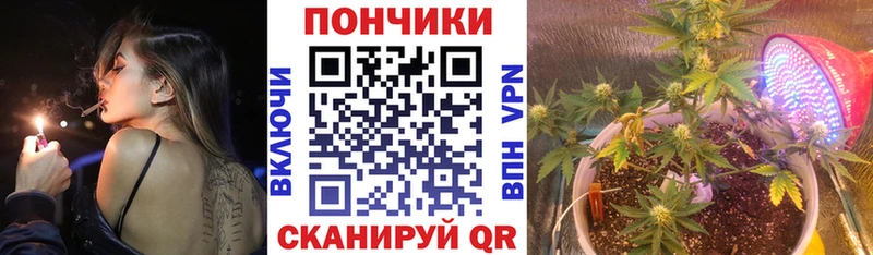Шишки марихуана VHQ Сосновка